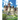 Castle: The Picture Book of Amazing Castle for Dementia, Seniors, Alzheimer's and Parkinson's.