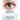 Inside the Eye Disease Just the Facts: A Resource Manual for the Vision Rehabilitation Professionals