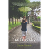 Half My Sky: Autism, Marriage, and the Messiness That Is Building a Family