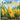 I'm Still Corn A Wordless Picture Book for Kids