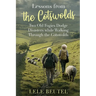 Lessons from the Cotswolds: Two Old Fogies Dodge Disasters while Walking Through the Cotswolds