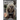 Cryptids of the Appalachian Heartland- a Little Field Guide to the Mysterious Creatures of Ohio, West Virginia, Kentucky, and Pennsylvania