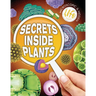 Secrets Inside Plants