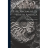 The Dinosaurs Of North America
