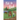 Not so Bad: A small-town coming-home story