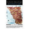 Future Primitive Revisited