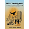 What's Going On?: The Holy Spirit in Christian History, Black Theology, and the Economy of God's Love