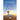 Maybe the Bird Will Rise (Large Print)