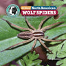 All about North American Wolf Spiders