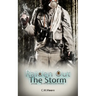 Raiden Out the Storm: 2:15 a.m.