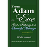 From Adam to Eve: God's Pathway to a Successful Marriage