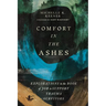 Comfort in the Ashes: Explorations in the Book of Job to Support Trauma Survivors