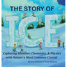 The Story of Ice: Exploring Weather, Chemistry, & Physics with Nature's Most Common Crystal