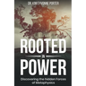 Rooted in Power: Discovering the Hidden Forces in Metaphysics
