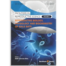 Reproductive Biology, Physiology and Biochemistry of Male Bats