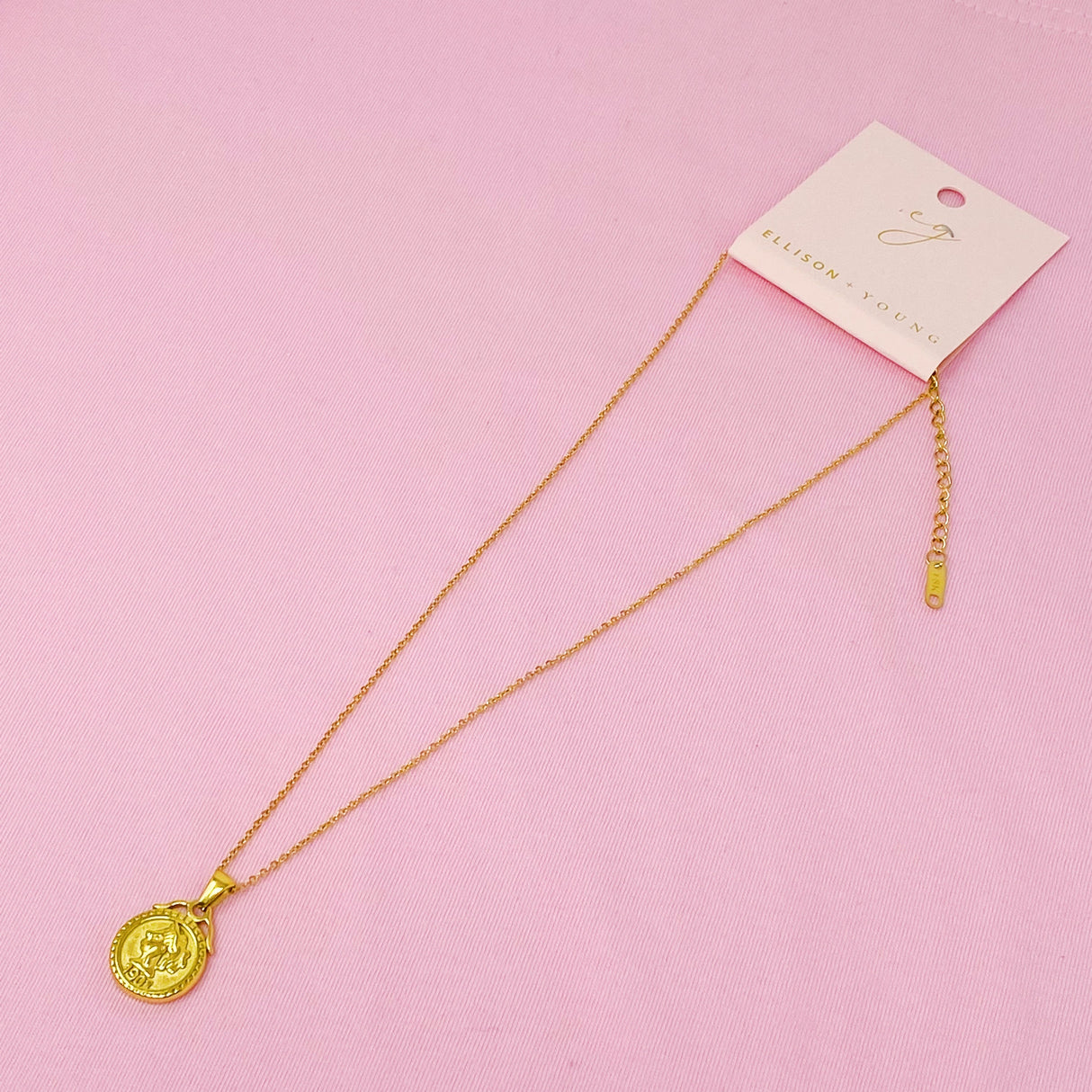 Feminine Coined Necklace by Ellisonyoung.com