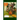 Journey Through A Zigzagged Forest: In A Dark Faced Girl