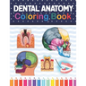 Dental Anatomy Coloring Book: Fun and Easy Adult Coloring Book for Dental Assistants, Dental Students, Dental Hygienists, Dental Therapists, Periodo