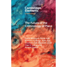 The Future of the Criminology of Place