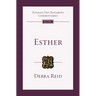 Esther: An Introduction and Commentary