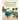 Molecular Virology of Human Pathogenic Viruses