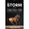 The Storm and the Connemara Pony - The Coral Cove Horses Series