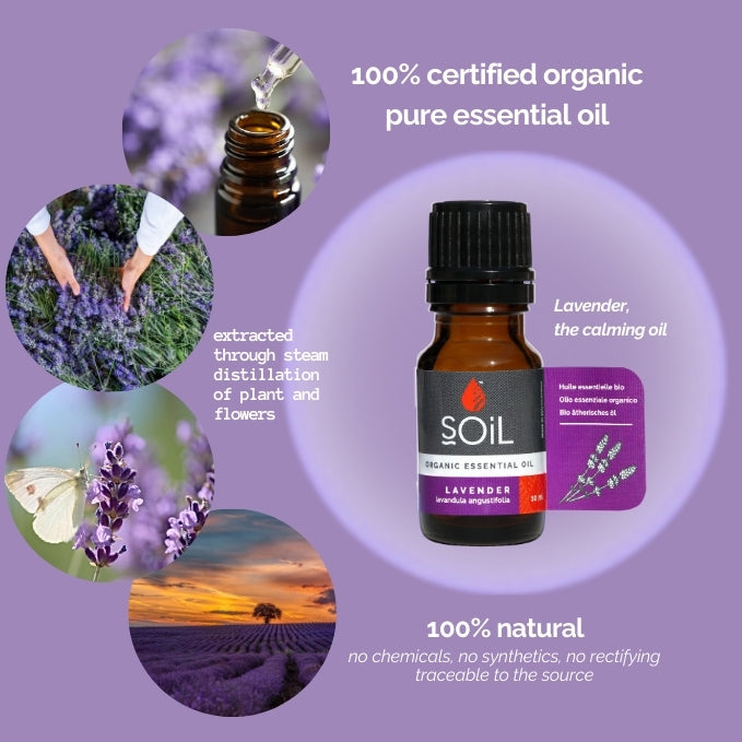 Organic Lavender Essential Oil (Lavandula Angustifolia) 10ml by SOiL Organic Aromatherapy and Skincare