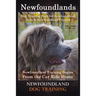 Newfoundlands Dog Training Book for Newfoundland Dogs & Newfoundland Puppies by D!G THIS DOG Training: Newfoundland Training Begins From the Car Ride