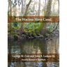The Wacissa Slave Canal