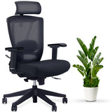 AeryChair Ergonomic Office Chair by EFFYDESK by Level Up Desks