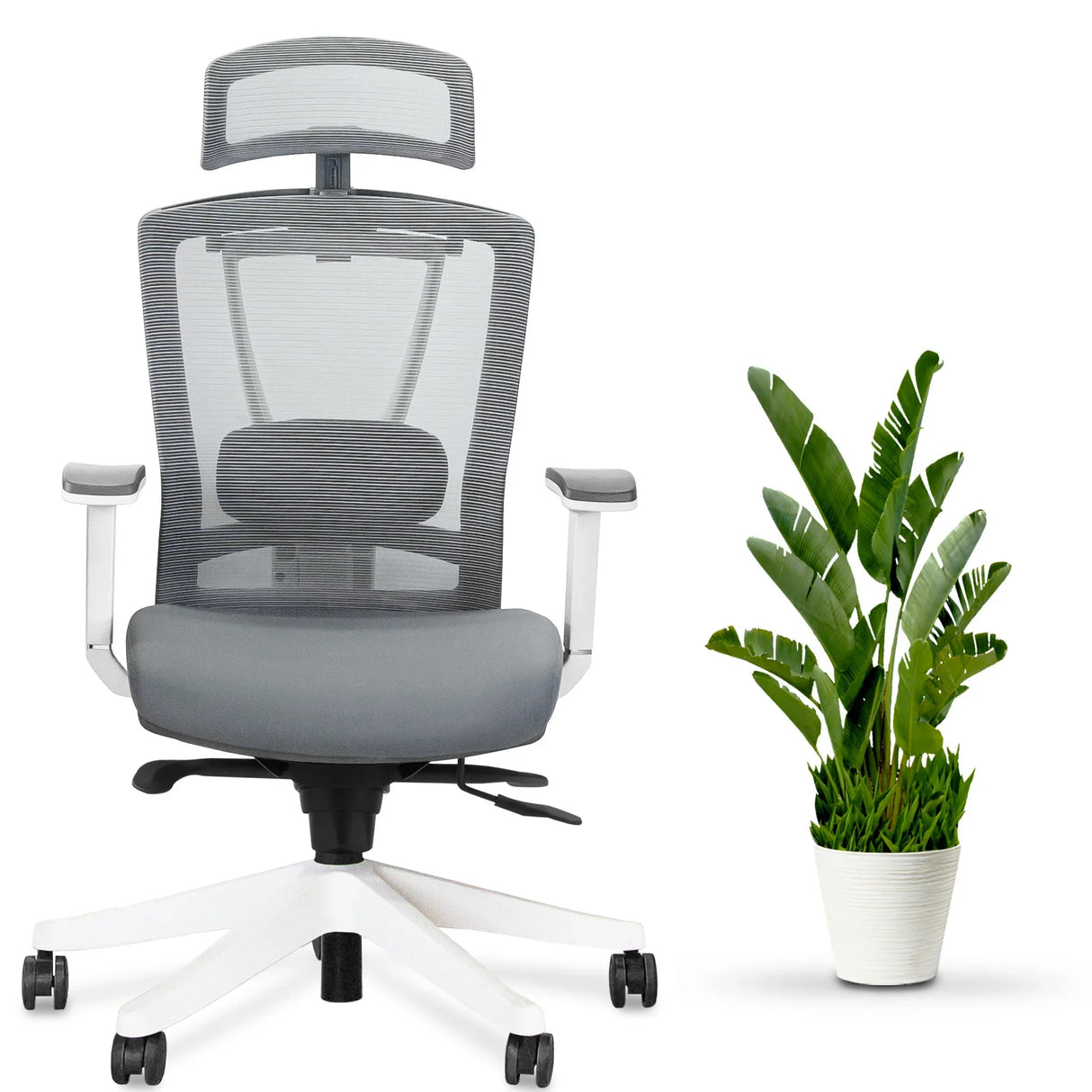 AeryChair Ergonomic Office Chair by EFFYDESK by Level Up Desks