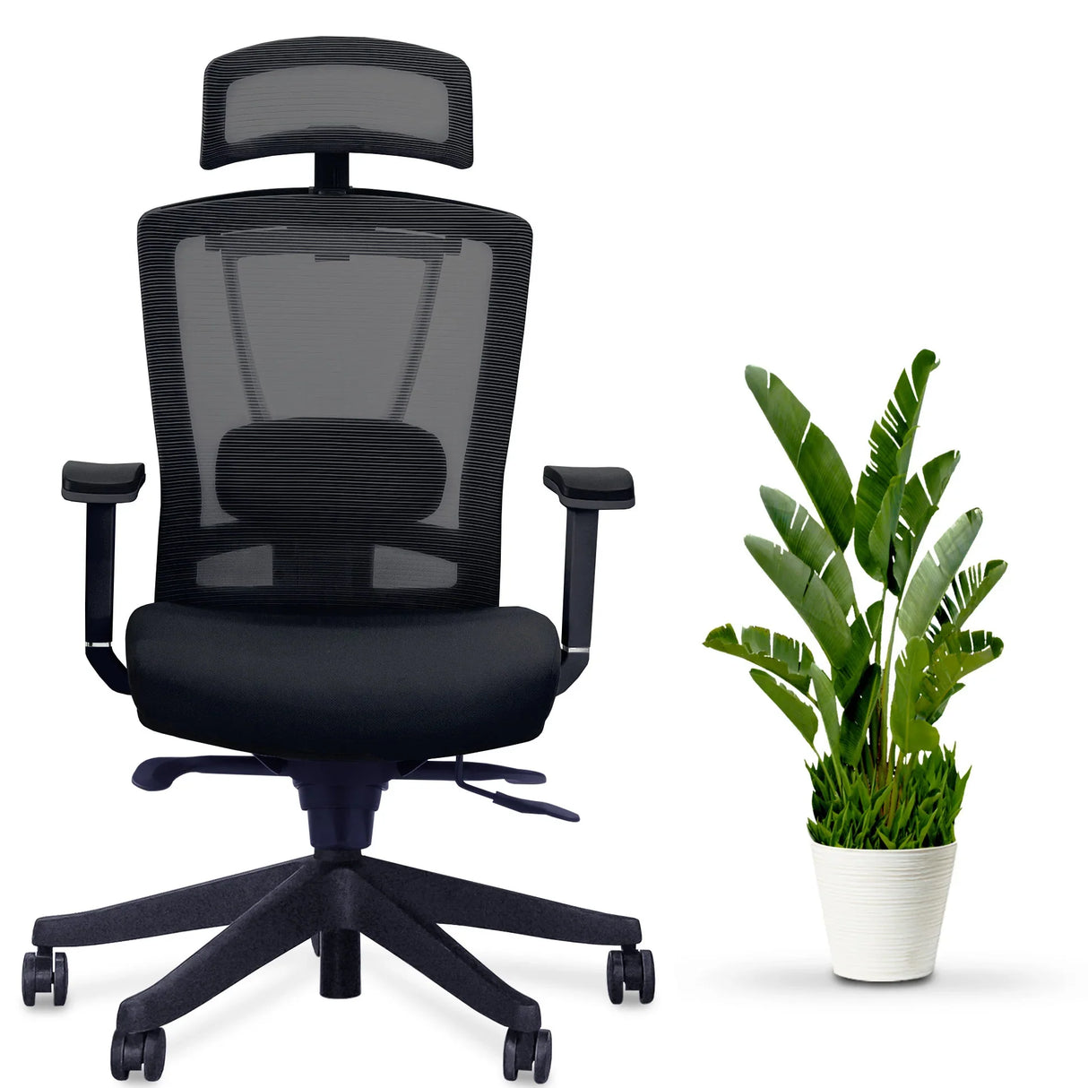 AeryChair Ergonomic Office Chair by EFFYDESK by Level Up Desks