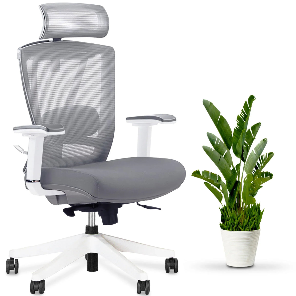 AeryChair Ergonomic Office Chair by EFFYDESK by Level Up Desks