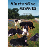 Ninety-Nine Newfies