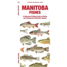 Manitoba Fishes: A Folding Guide to Native and Introduced Freshwater Species