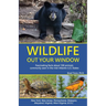 Wildlife Out Your Window: Fascinating Facts about 100 Animals Commonly Seen in the mid-Atlantic U.S. States