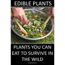 Edible Plants: Plants You Can Eat To Survive In the Wild