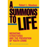 A Summons to Life:: Mediating Structures and the Prevention of Youth Crime