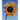 From the Heart of the Sun: A Guide to Living Earth Flower Essences