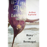 Bony At Bermagui