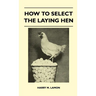 How To Select The Laying Hen