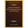A Study Of Delaware Indian Medicine Practice And Folk Beliefs