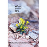 What Minimal Joy