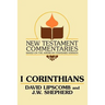 I Corinthians: A Commentary on the New Testament Epistles