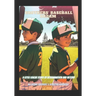 Brothers' Baseball Dream: A Little League Story Of Determination And Victory
