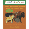 North American Wildlife Guide and Coloring Book: Hand-drawn Animals for all Ages