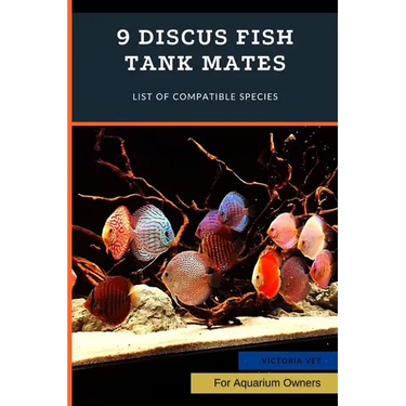 9 Discus Fish Tank Mates: List of Compatible Species