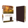 Amplified Bible-Am: Captures the Full Meaning Behind the Original Greek and Hebrew