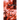 Warrant Error