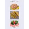 The Panacea Review: Issue One